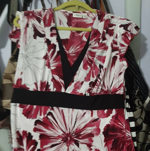 Clothes - Picture 3 of 13